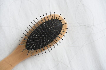 close up of a brush
