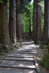 羽黒山の石段 神社で日本一 2446段 ／山形県鶴岡市の羽黒山は標高414mで、山岳信仰の中心地として有名です。参道は瑞心門から国宝の五重塔を通り、上ること2446段と、神社では石段の数で日本一です。出羽三山神社までは車での参拝も出来ますが、パワースポットの御利益は、徒歩の方が上と言わています。