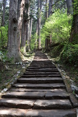 羽黒山の石段 神社で日本一 2446段 ／山形県鶴岡市の羽黒山は標高414mで、山岳信仰の中心地として有名です。参道は瑞心門から国宝の五重塔を通り、上ること2446段と、神社では石段の数で日本一です。出羽三山神社までは車での参拝も出来ますが、パワースポットの御利益は、徒歩の方が上と言わています。