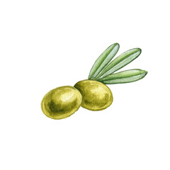 watercolor drawing green olives with leaves isolated at white background, hand drawn illustration
