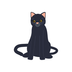 flat black cat