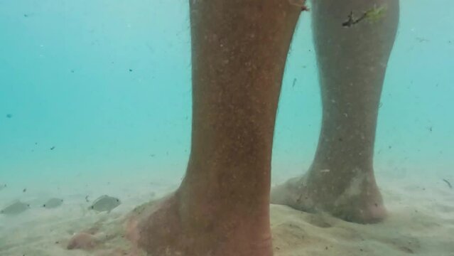 Unique slow motion underwater footage of small fish eating human legs and feet skin in sea water. Pedicure concept
