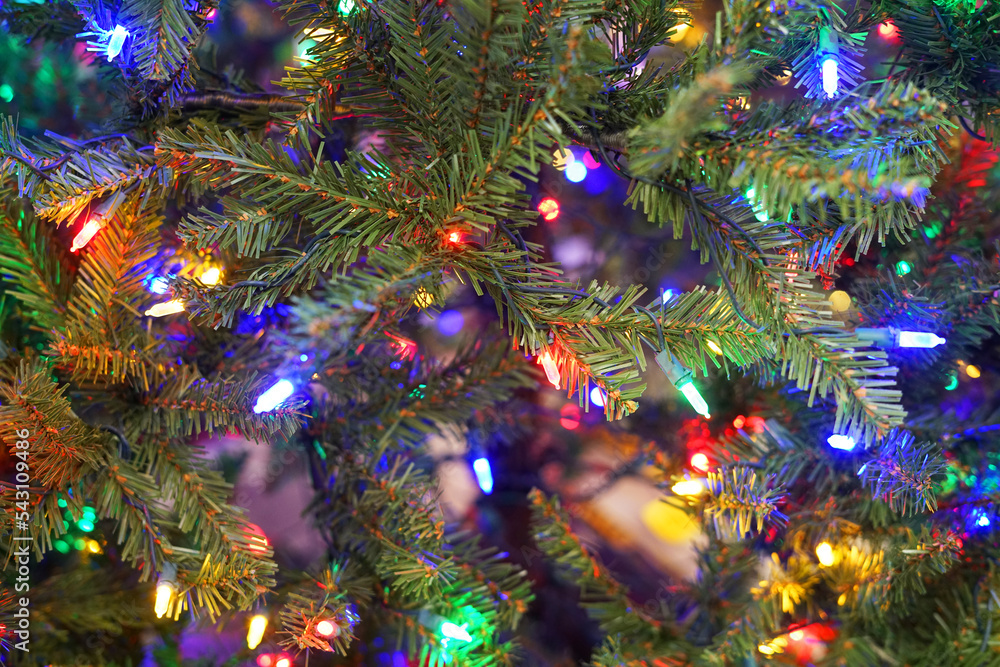 Wall mural Close up on Christmas tree with colorful light