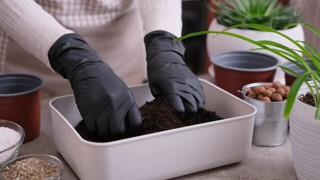 Home Gardening and plant transplantation - Woman mixing soil substrate with hands