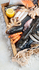Fresh fish and seafood arrangement. Healthy eating concept. Top view..