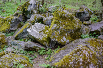 Picturesque stones in the moss in the Resort arch of Borjomi. Georgia 2019. Mineral water. Forest in the park