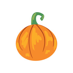 flat fall pumpkin