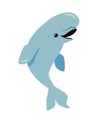flat colored beluga