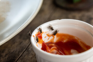 Many flies swarming the food, chili sauce.
