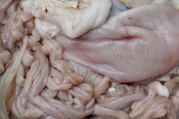 Goat mutton raw flesh meat intestine spleen cleaning for cooking food. Healthy food of animal intestine meat. - obrazy, fototapety, plakaty