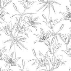 Botanical vector background. Floral seamless pattern. wild lilies hand drawn illustration. Interior textile and fashion fabric print