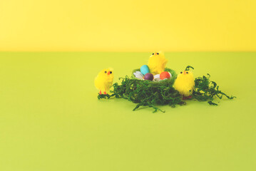 Easter composition with decorative yellow chickens and eggs in the nest with natural moss. Copy space