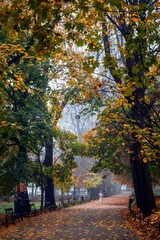Kobieta na krakowskich plantach w mglisty jesienny poranek