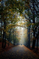 Para kobieta i mężczyzna na krakowskich plantach w mglisty jesienny poranek