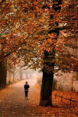 Kobieta na krakowskich plantach w mglisty jesienny poranek - obrazy, fototapety, plakaty