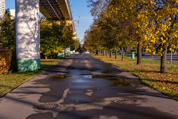 Obraz premium autumn in the park