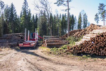 Timber heaps with a truck in the forest