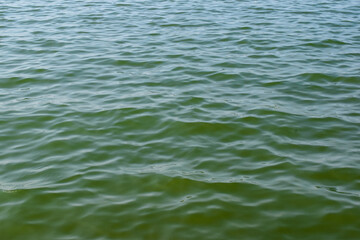 Abstract natural green sea wave texture