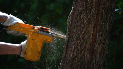 Fototapete bei efototapeten.de bestellen   