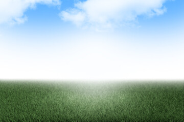 Obraz na płótnie Canvas Green grass under blue sky