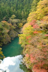 東京都奥多摩多摩川の紅葉