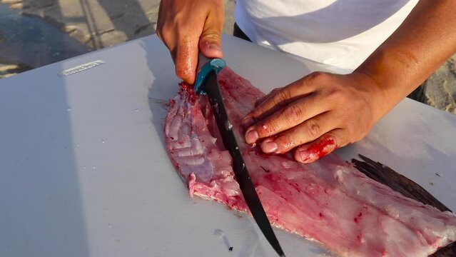 Cutting a grouper filet and running fingers through fish