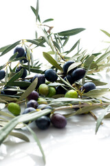olives and olive branches on a white background.