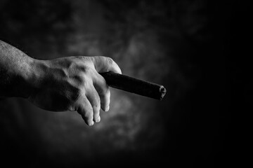 Zigarre im Studio fotografiert