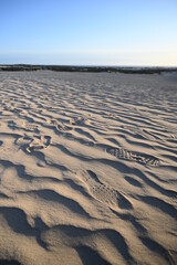 A small steps on the sand