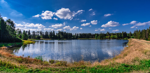 Kiefhölzer Teich im Harz