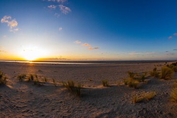 Sea coast during a calm summer sunset. Sea.