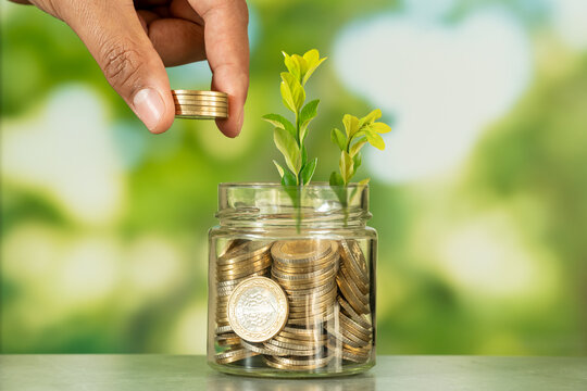 Close up photo of glass jae full of coins and growing plant inside as a symbol of invest or funding in business. Concept of financially grow of company or making profit.