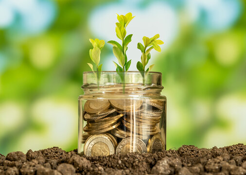 Close up photo of glass jae full of coins and growing plant inside as a symbol of invest or funding in business. Concept of financially grow of company or making profit.