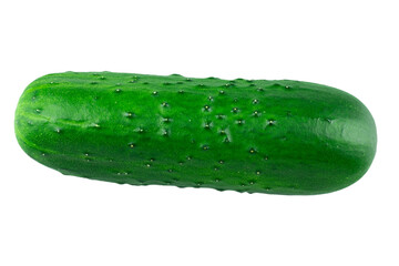cucumber, fresh whole cucumber, isolate