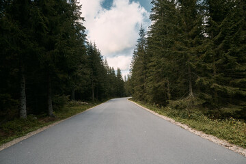 Fototapeta na wymiar Empty mountain road. Asphalt road between the trees with overcast above.