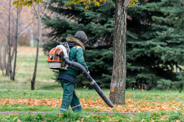 Gardener cleaning falling leaves in a city park in the autumn dry time. Using gas powered leaf...