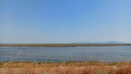 Delta Evros National Park, Evros Thraki Greece