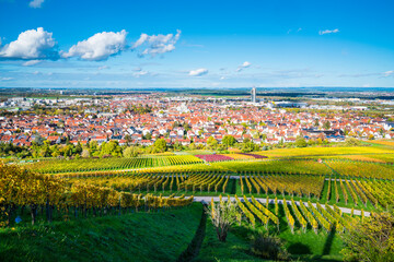Germany, Fellbach skyline city vineyard panorama view autumn season above roofs houses tower at sunset light