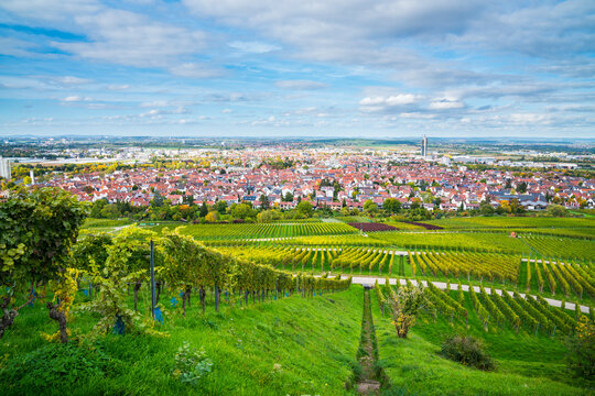 Germany, Fellbach city skyline vineyard panorama view autumn season above roofs houses tower at sunset
