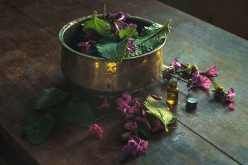 Flower buds with leaves in a jar on the table. A glass syringe for a set of fragrances. Perfume set...