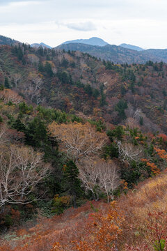 紅葉する山　岐阜県三方岩岳