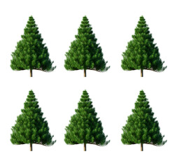 green christmas tree For greeting cards with text, festive posters or party invitations feature Christmas and New Year vector close-up realistic style illustrations. Designed by 3d program