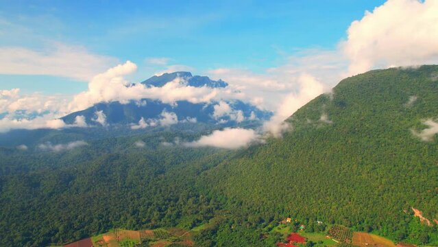 Drone is flying over a tropical forest and focus on "Doi Luang Chiang Dao", chiang dao mountain It is a beautiful landmark and a famous tourist destination in Chiang Mai, Northern Thailand. 4K
