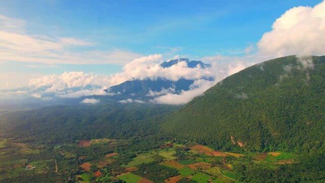 Drone is flying over a tropical forest and focus on "Doi Luang Chiang Dao", chiang dao mountain It is a beautiful landmark and a famous tourist destination in Chiang Mai, Northern Thailand. 4K
