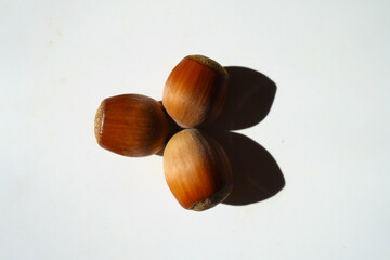 View of three fully ripe unpeeled hazelnuts from above