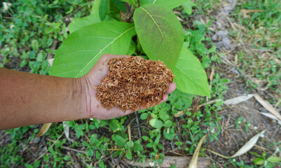 Sawdust handle for fertilizing or composting plants grown in the garden