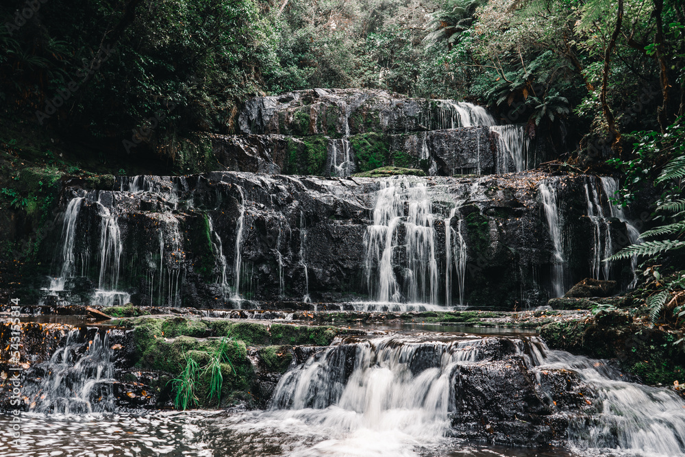 Canvas Prints waterfall water rushing down into the lake among the moss and grass by the impressive rocks in the middle of the greenery near the forest trees, purakaunui falls, new zealand