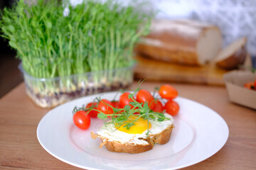 Delicious healthy sandwich with egg and microgreens for breakfast or snack