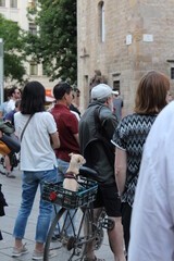 small dog in a basket