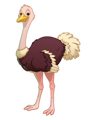 Ostrich Cartoon Animal Illustration